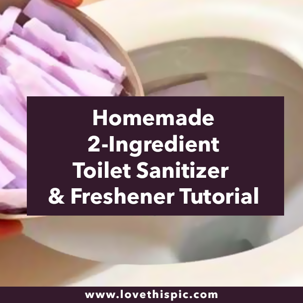 Homemade 2-Ingredient Toilet Sanitizer & Freshener Tutorial