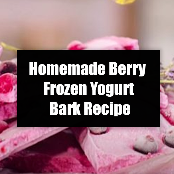 Homemade Berry Frozen Yogurt Bark Recipe