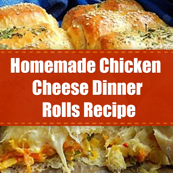 Homemade Chicken Cheese Dinner Rolls Recipe