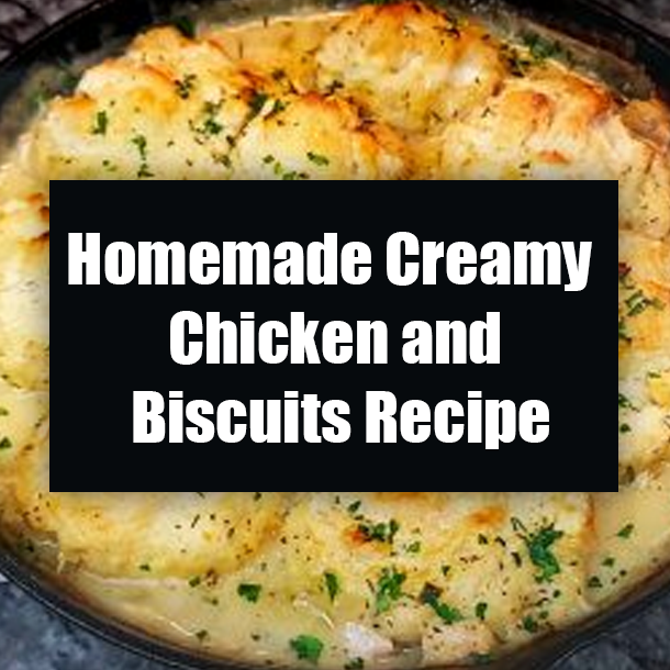 Homemade Creamy Chicken and Biscuits Recipe