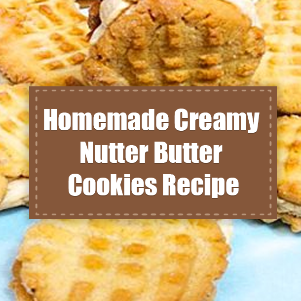 Homemade Creamy Nutter Butter Cookies Recipe