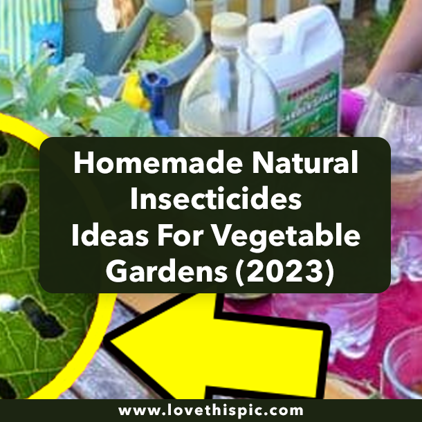 Homemade Natural Insecticides Ideas For Vegetable Gardens (2023)