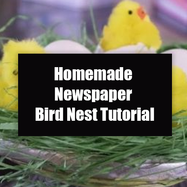 Homemade Newspaper Bird Nest Tutorial