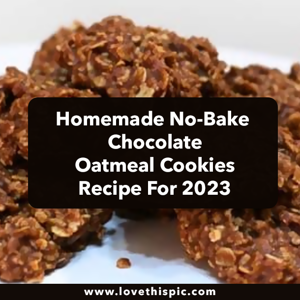 Homemade No-Bake Chocolate Oatmeal Cookies Recipe For 2023