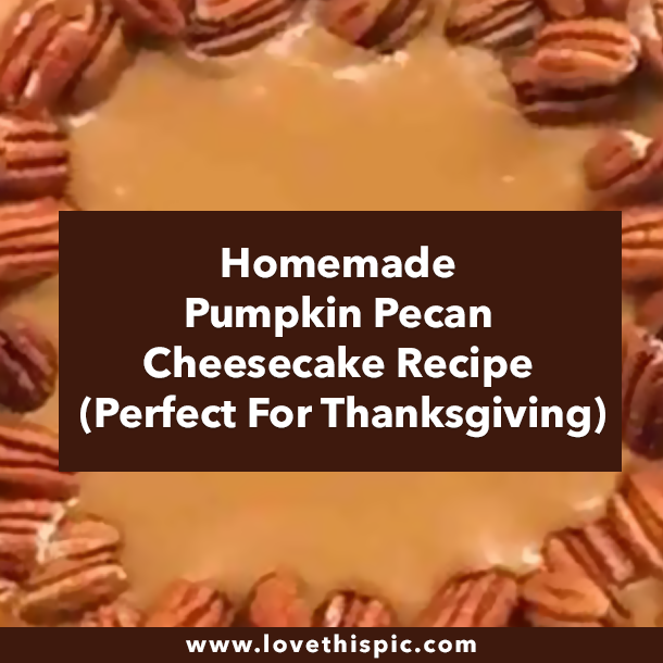 Homemade Pumpkin Pecan Cheesecake Recipe (Perfect For Thanksgiving)