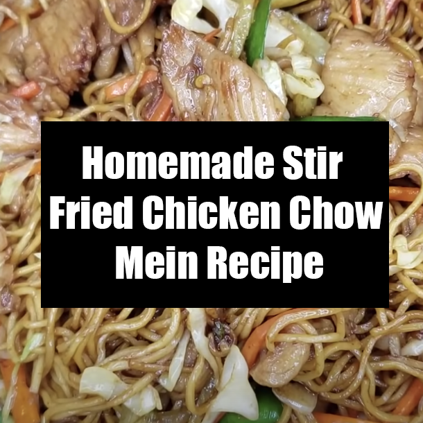Homemade Stir Fried Chicken Chow Mein Recipe