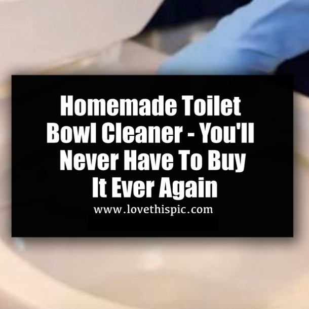 Homemade Toilet Bowl Cleaner - You'll Never Have To Buy It Ever Again