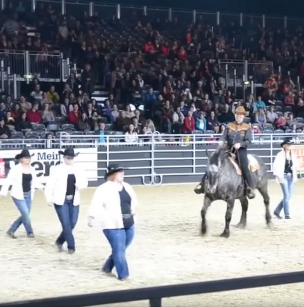 Horse Hears His Favorite Song. Looks Owner And Leaves Everyone In Crowd Gasping In Shock - picture 4