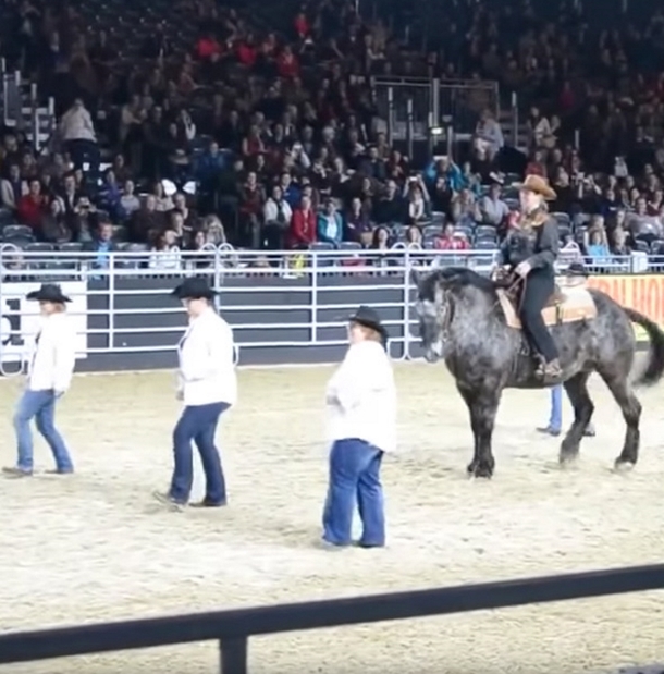 Horse Hears His Favorite Song. Looks Owner And Leaves Everyone In Crowd Gasping In Shock - picture 5