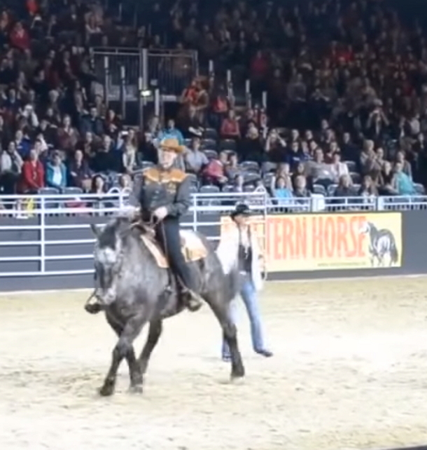 Horse Hears His Favorite Song. Looks Owner And Leaves Everyone In Crowd Gasping In Shock - picture 6