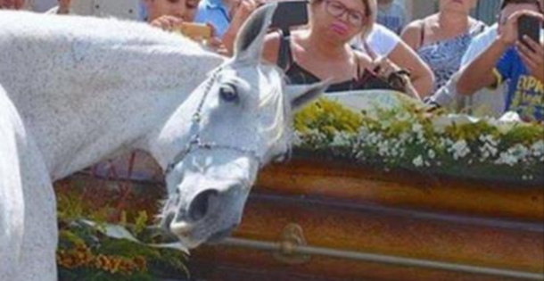 Horse Walks Over To Best Friend's Casket And Smells It - And That's When It Happens - picture 2