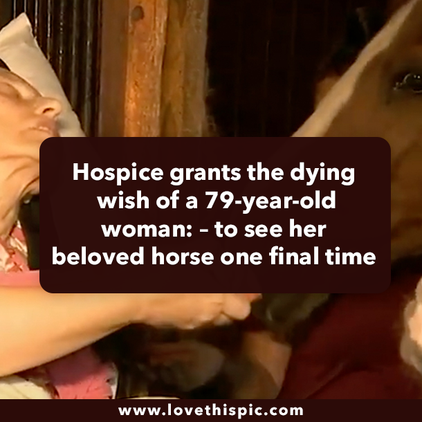 Hospice grants the dying wish of a 79-year-old woman: – to see her beloved horse one final time