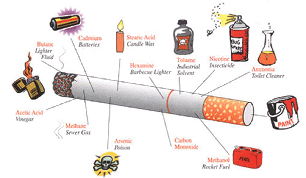 How Cigarette Smoking Affects Your Whole Body - picture 3