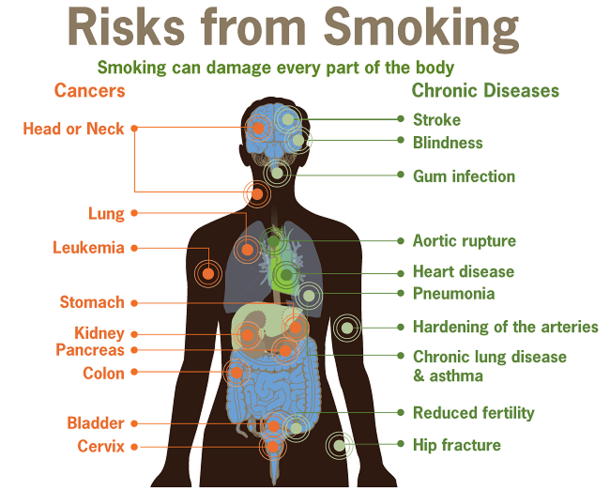 How Cigarette Smoking Affects Your Whole Body - picture 5