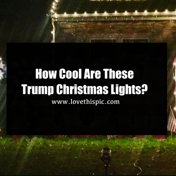 How Cool Are These Trump Christmas Lights?