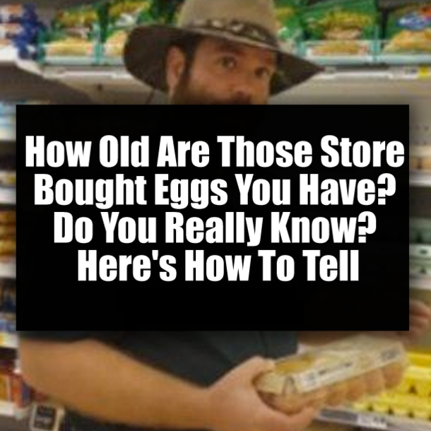 How Old Are Those Store Bought Eggs You Have? Do You Really Know? Here's How To Tell