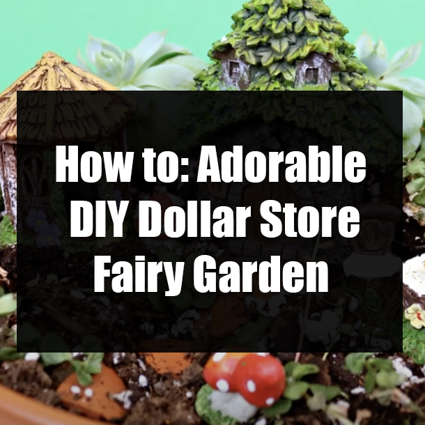 How to: Adorable DIY Dollar Store Fairy Garden