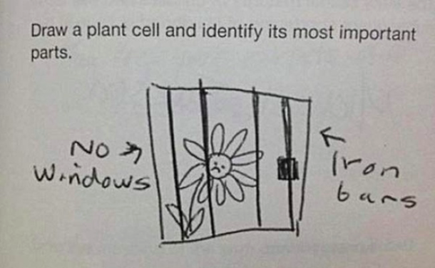 How to answer exam questions when you have no idea what the answer is - picture 17
