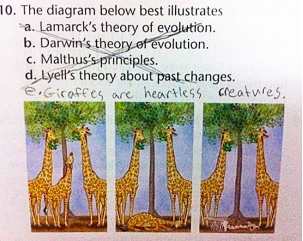 How to answer exam questions when you have no idea what the answer is - picture 9
