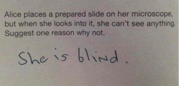 How To Answer Test Questions When You Have No Clue What The Actual Answer Is - picture 6