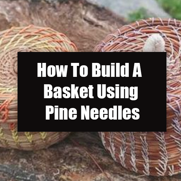 How To Build A Basket Using Pine Needles