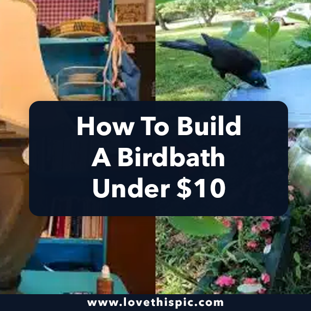 How To Build A Birdbath Under $10