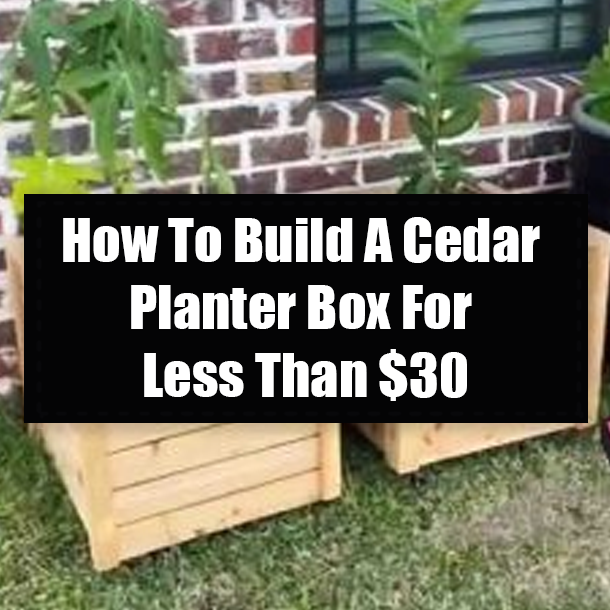 How To Build A Cedar Planter Box For Less Than $30