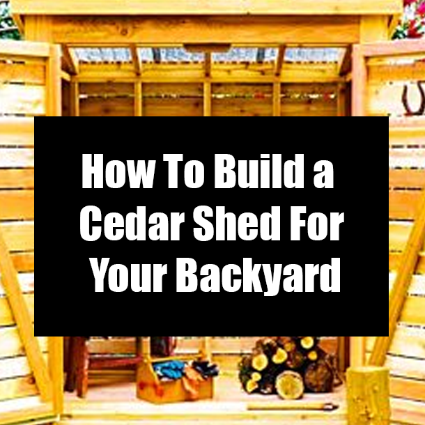 How To Build a Cedar Shed For Your Backyard