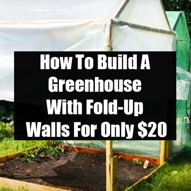 How To Build A Greenhouse With Fold-Up Walls For Only $20
