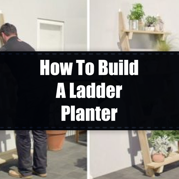 How To Build A Ladder Planter