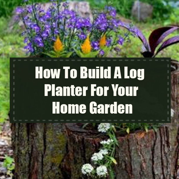 How To Build A Log Planter For Your Home Garden