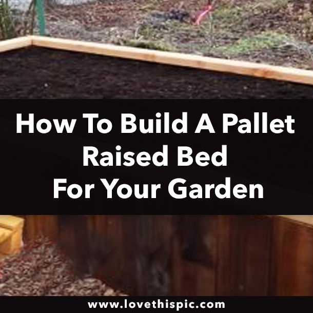 How To Build A Pallet Raised Bed For Your Garden