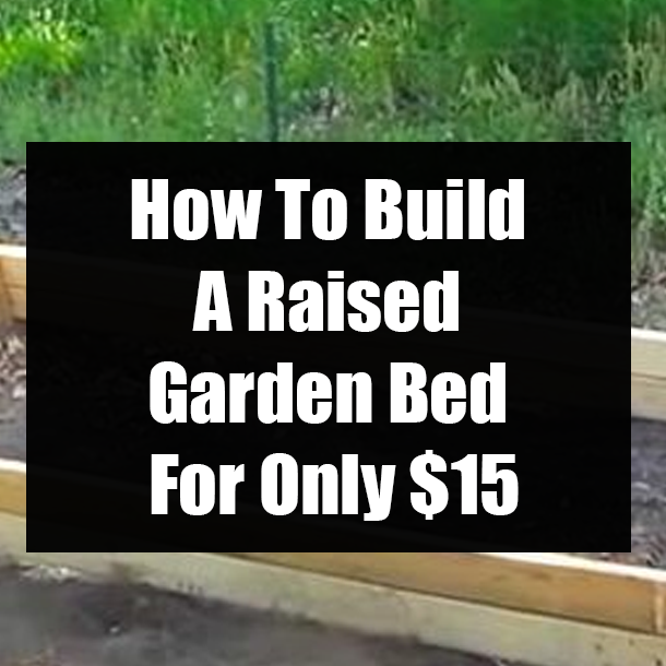 How To Build A Raised Garden Bed For Only $15