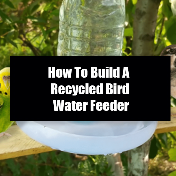 How To Build A Recycled Bird Water Feeder