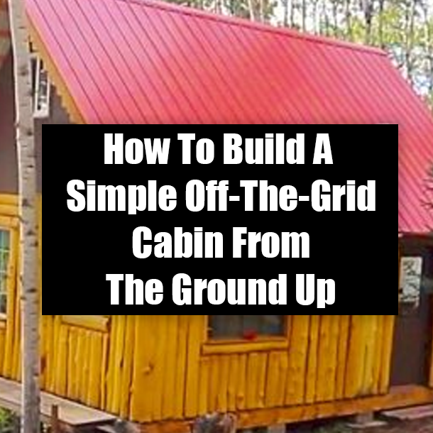 How To Build A Simple Off-The-Grid Cabin From The Ground Up