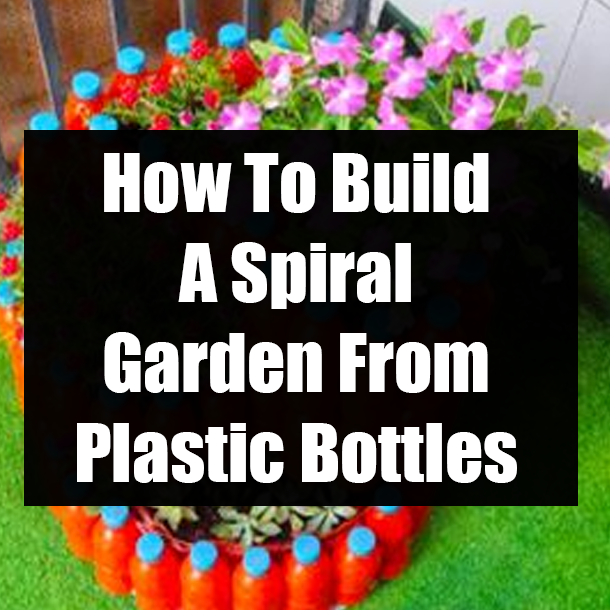 How To Build A Spiral Garden From Plastic Bottles