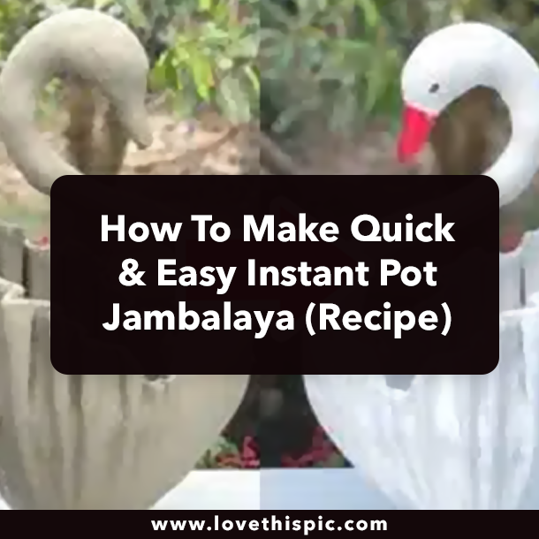 How To Build A Swan-Shaped Cement Pot With Old Fabric