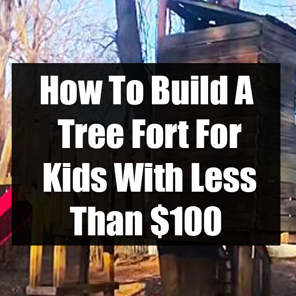 How To Build A Tree Fort For Kids With Less Than $100