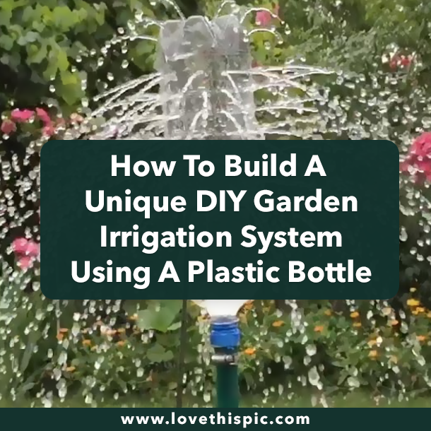 How To Build A Unique DIY Garden Irrigation System Using A Plastic Bottle