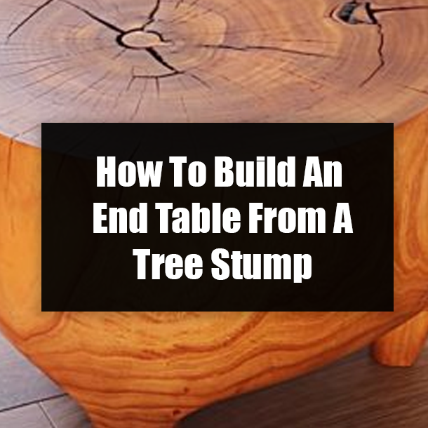 How To Build An End Table From A Tree Stump