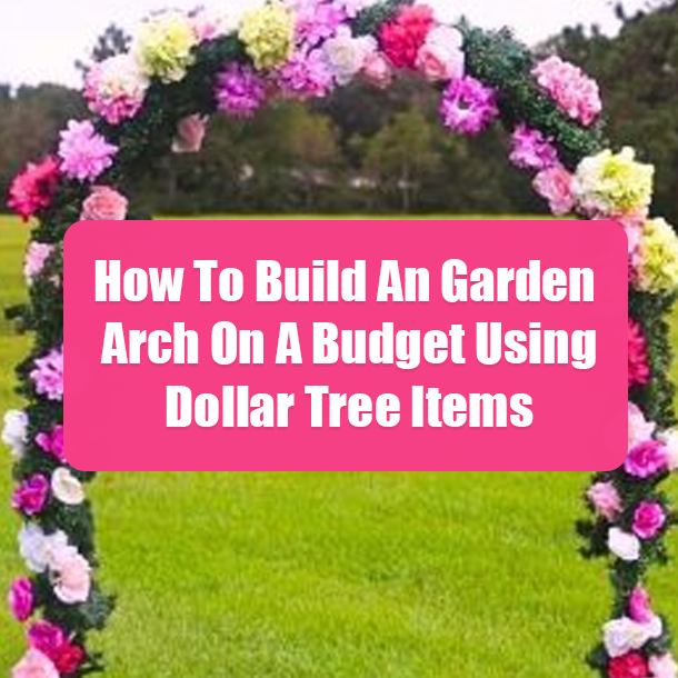 How To Build An Garden Arch On A Budget Using Dollar Tree Items