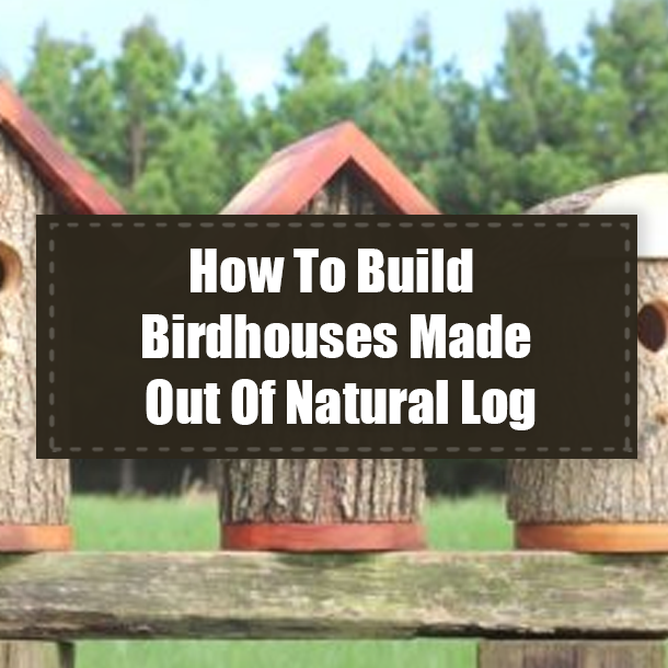 How To Build Birdhouses Made Out Of Natural Log