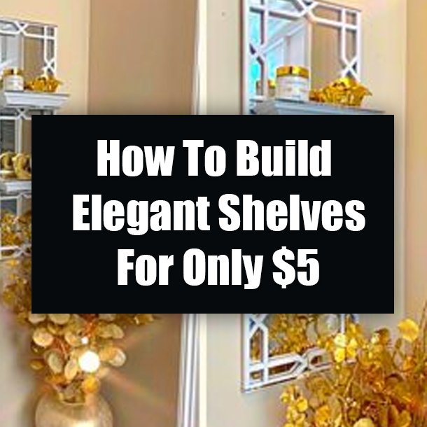 How To Build Elegant Shelves For Only $5