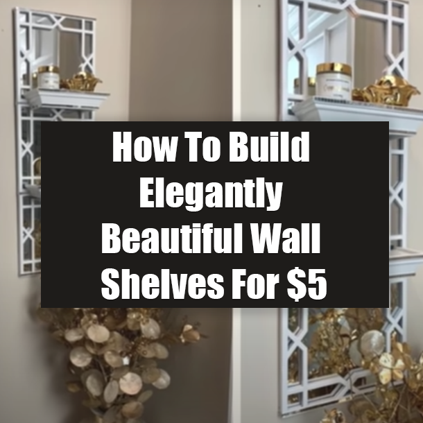 How To Build Elegantly Beautiful Wall Shelves For $5