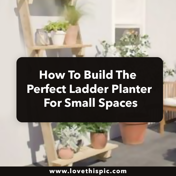 How To Build The Perfect Ladder Planter For Small Spaces