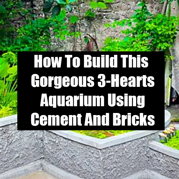 How To Build This Gorgeous 3-Hearts Aquarium Using Cement And Bricks