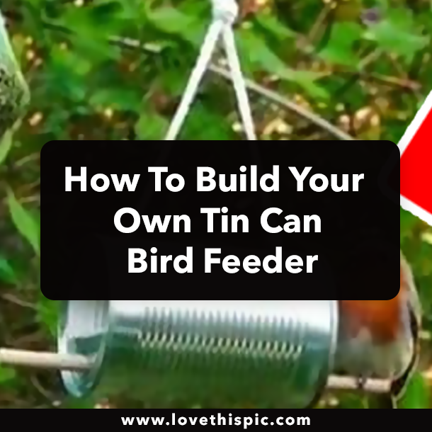 How To Build Your Own Tin Can Bird Feeder