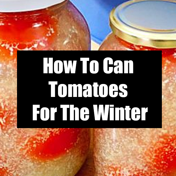 How To Can Tomatoes For The Winter