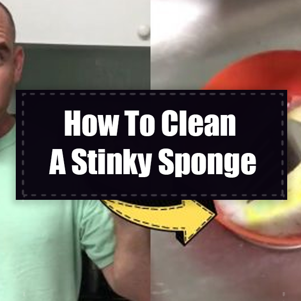 How To Clean A Stinky Sponge