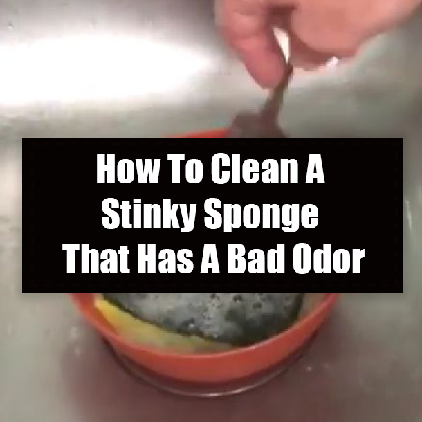 How To Clean A Stinky Sponge That Has A Bad Odor